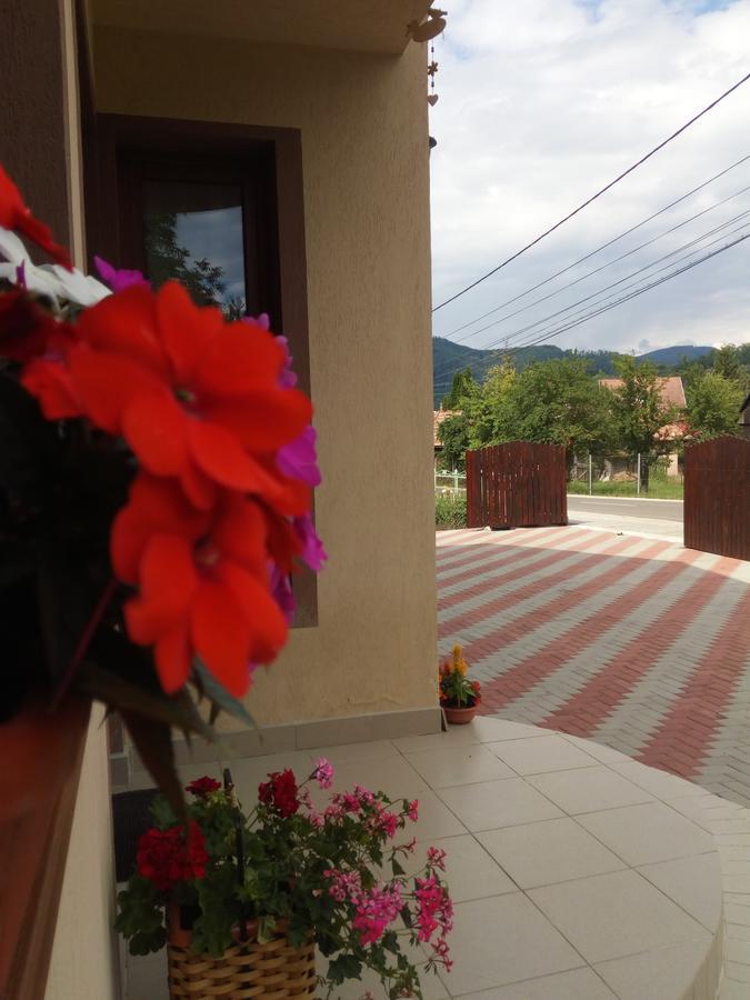 فندق Casa Infinity سوفاتا المظهر الخارجي الصورة